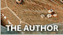 the author