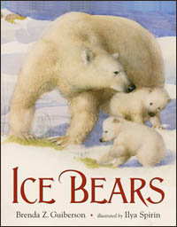 Ice Bears