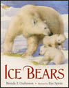 Ice Bears