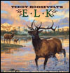 Teddy Roosevelt's Elk