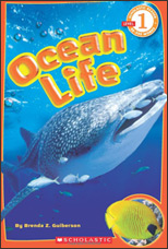 Ocean Life