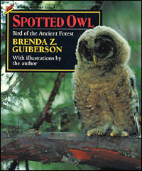 Spotted Owl