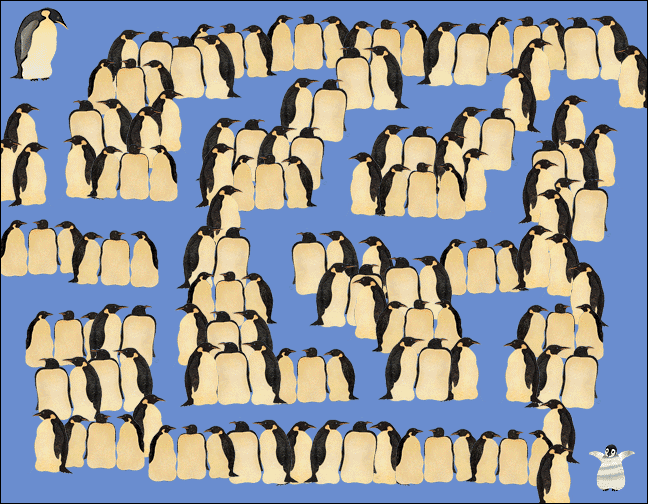 The Little Lost Penguin Maze